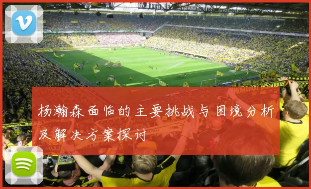 杨瀚森面临的主要挑战与困境分析及解决方案探讨