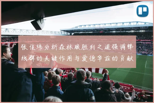 张佳玮分析森林狼胜利之道强调锋线群的关键作用与爱德华兹的贡献