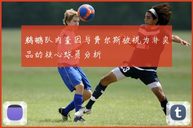 鹈鹕队内奎因与费尔斯被视为非卖品的核心球员分析